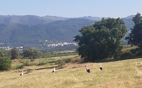Quinta Lameira Do Vale
